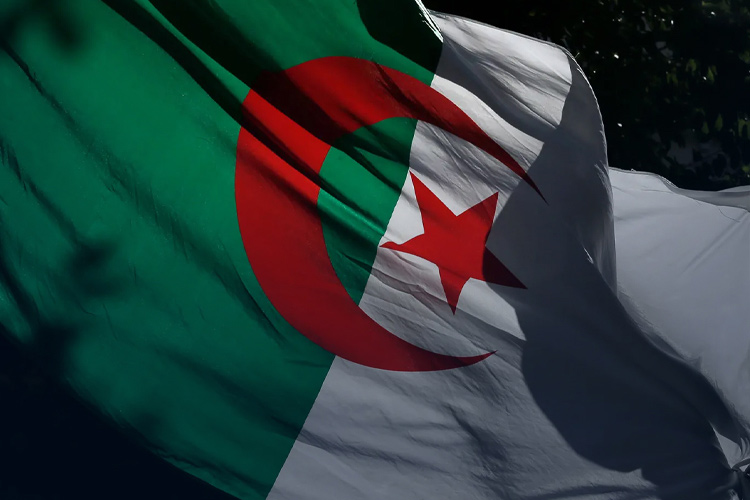الجزائر توسع استثماراتها