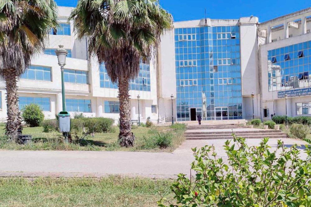 إنسانية