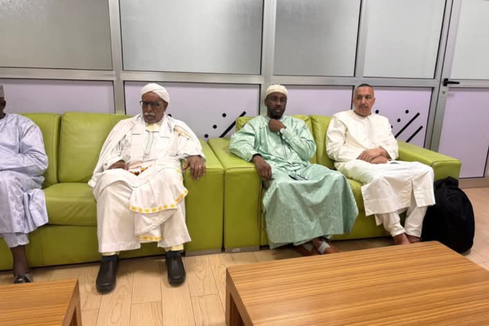 الدبلوماسية