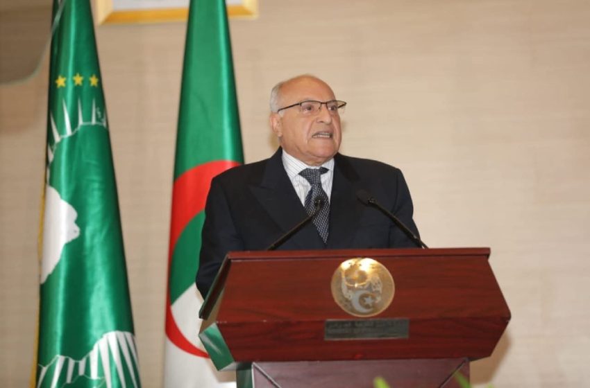 الجزائر تدعو إلى تكامل المبادرات الدولية مع الجهود الأممية في ليبيا
