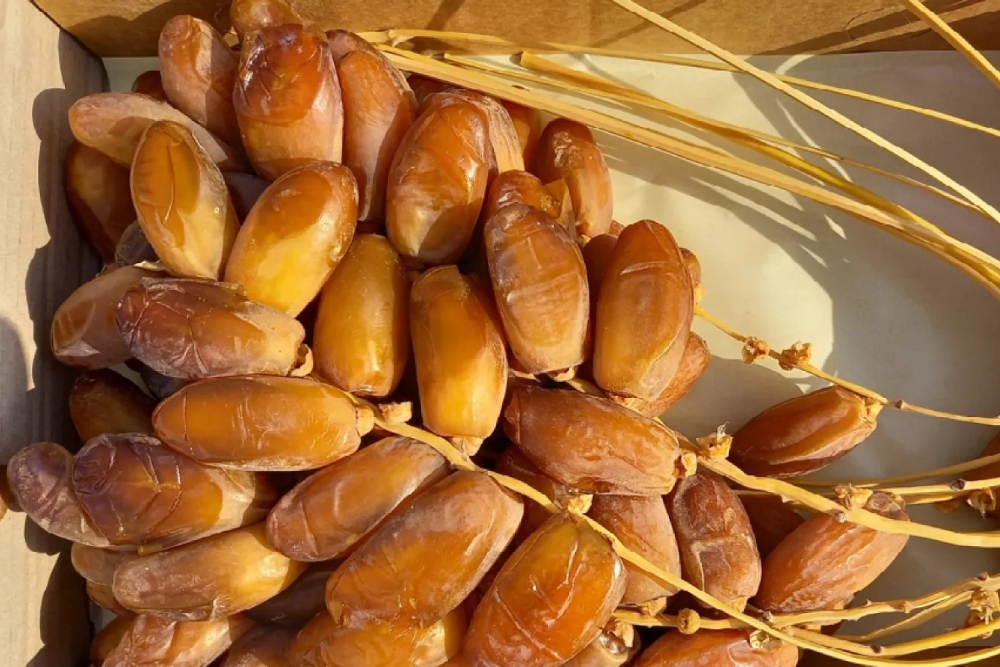 صورة الخبر