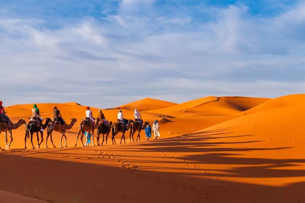 صورة الخبر