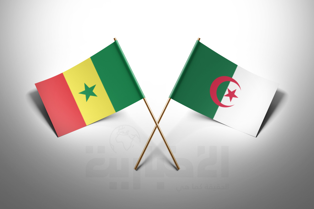 صورة الخبر