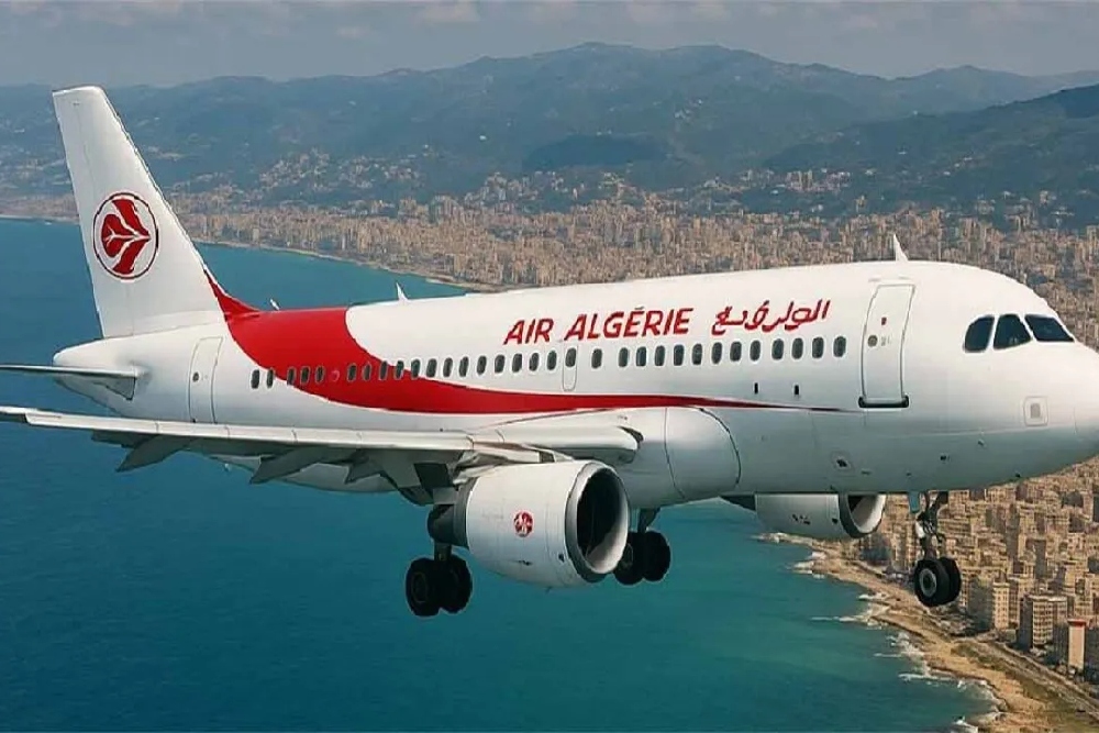 صورة الخبر